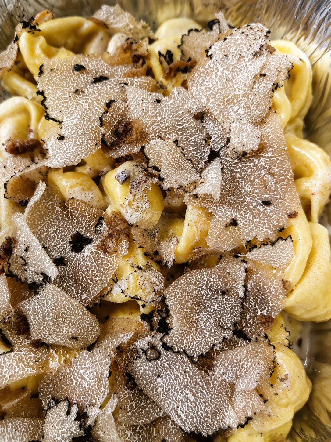 Tortelloni al tartufo — Nuovo Antares